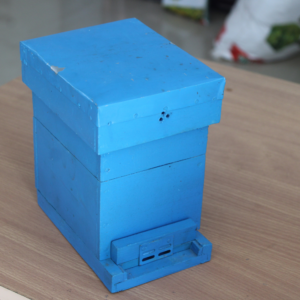 Apis Cerana Hive (Newton Hive, BIS Standard A & B)