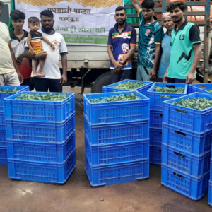 Bee-friendly Saplings